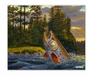 yX[p[SALE10OFFzLoXA[g S_i MTC gEg1 䂤pPbg STCY  ނ G  Ǌ| G