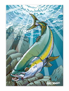 yI|Cg100obNzLoXpl MTCLoXA[gFS_i/YellowTail 䂤pPbg STCY Vv CeA A[g  G  Ǌ| G