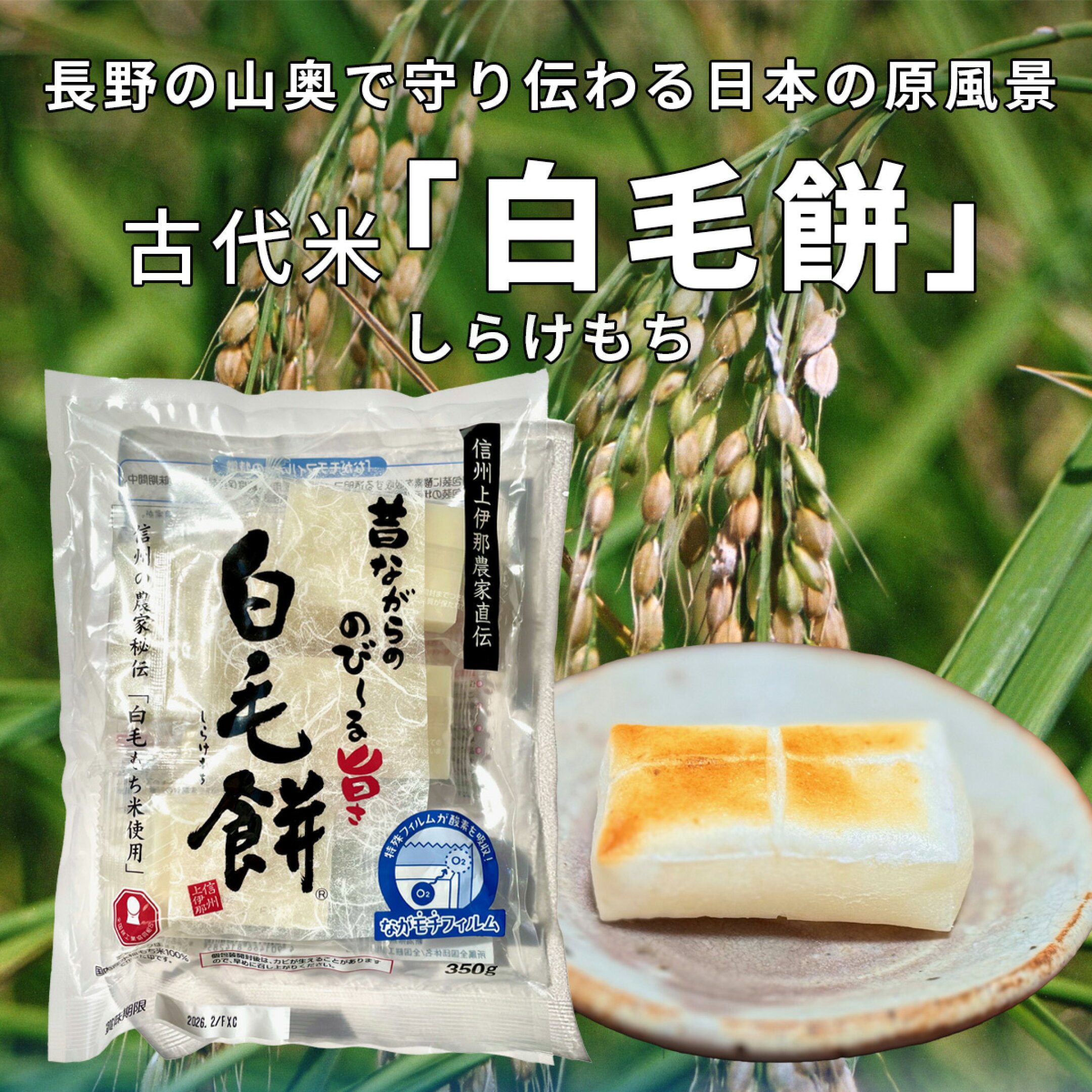 古代米「白毛餅（しらけもち）」