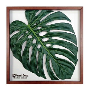 [tpl A[g XeEfVI[T1/CeA tFCNO[ z蕗i |X^[ A[gpl rO  v[g _ A[gt[  G LLTCY 