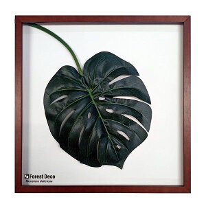 [tpl A[g XeEfVIT2/CeA tFCNO[ z蕗i |X^[ A[gpl rO  v[g _ A[gt[  G LLTCY 