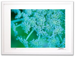 A[gtHg G Ǌ| ~}VVEh/R/CeA Ǌ| z z i G |X^[ A[g A[gpl rO  v[g _ A[gt[  