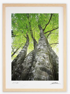 A[gtHg G Ǌ| ui/R/CeA Ǌ| z z i G |X^[ A[g A[gpl rO  v[g _ A[gt[  