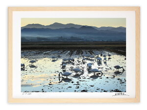 A[gtHg G Ǌ| ̕i1/s/CeA Ǌ| z z i G |X^[ A[g A[gpl rO  v[g _ A[gt[  