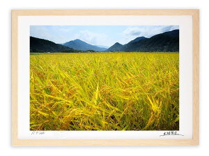 A[gtHg G Ǌ| H̕/Rs/CeA Ǌ| z z i G |X^[ A[g A[gpl rO  v[g _ A[gt[  