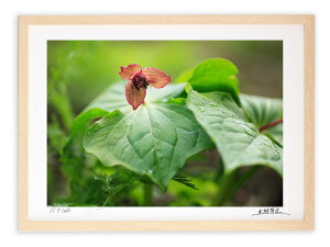 A[gtHg G Ǌ| GC\E/Rs/CeA Ǌ| z z i G |X^[ A[g A[gpl rO  v[g _ A[gt[  