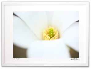 A[gtHg G Ǌ| RuV̉/Rs/CeA Ǌ| z z i G |X^[ A[g A[gpl rO  v[g _ A[gt[  