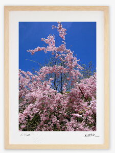 yX[p[SALE50OFFzA[gtHg G Ǌ| 炭/Rs/CeA Ǌ| z z i G |X^[ A[g A[gpl rO  v[g _ A[gt[