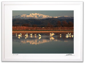 【抽選ポイント100%バック】アートフォト 絵画 壁掛け 白鳥と白山/加賀市/インテリア 壁掛け 額入り 額装込 風景画 油絵 ポスター アート アートパネル リビング 玄関 プレゼント モダン ア