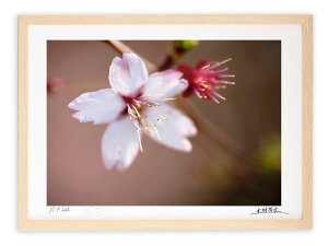 yX[p[SALE50OFFzA[gtHg G Ǌ| R/Rs/CeA Ǌ| z z i G |X^[ A[g A[gpl rO  v[g _ A[gt[ 
