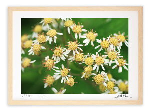 A[gtHg G Ǌ| H̋Cz/Rs/CeA Ǌ| z z i G |X^[ A[g A[gpl rO  v[g _ A[gt[  