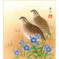 手描き 色紙 色紙掛けなし 「鶉にりんどう」中西 康多 242mm×273mm モダン 手描き 色紙 色紙絵 掛軸 床…