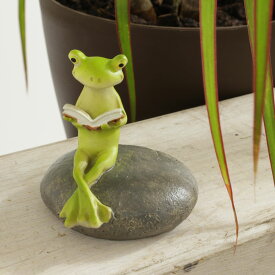 ディスプレイとしてかわいい♪ 置物 オブジェ 読書しているカエル/インテリア 壁掛け アート アートパネル リビング 玄関 プレゼント モダン 絵画 おしゃれ 飾る シンプル モダン アジアン アンティーク Sサイズ