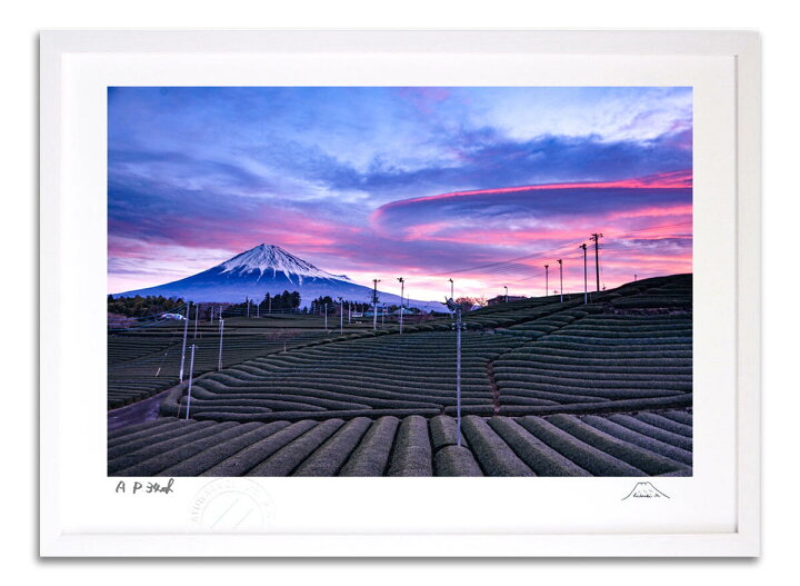 楽天市場】版画 絵画 吊し雲と茶畑富士 富士山 インテリア 額入り 額装 