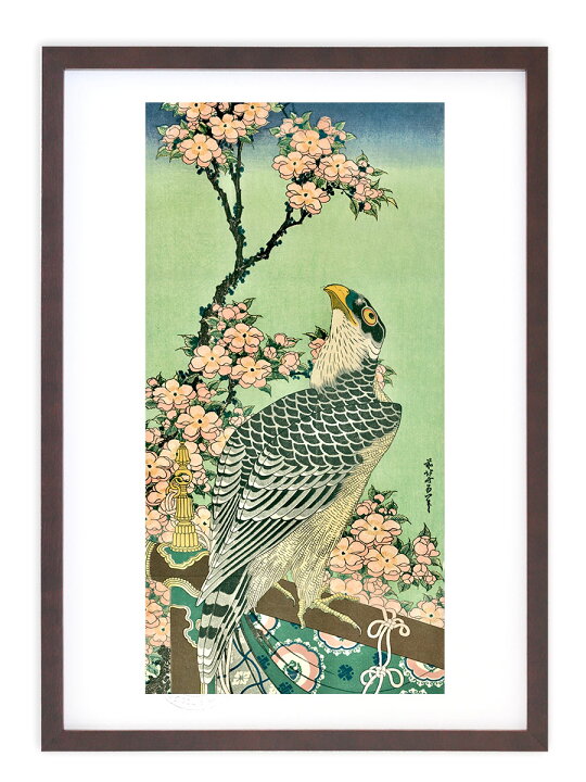 楽天市場】版画 絵画 名画 日本画 桜花に鷹 (おうかにたか） 葛飾北斎 