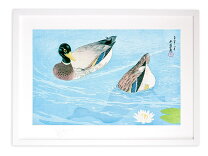 楽天市場】鴨（絵画｜アート・美術品・骨董品・民芸品）：ホビーの通販 鴨の絵 現代アート 木製フレーム