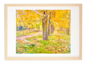 ŉ G  { |v̉t cP CeA Ǌ| z A[g A[gpl _ A[gt[ 