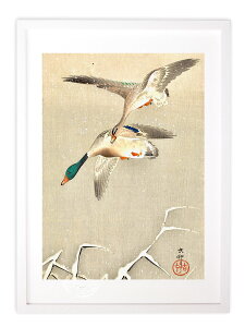 【抽選ポイント100%バック】版画 絵画 名画 日本画 雪に真鴨 小原古邨 インテリア 壁掛け 額入り アート アートパネル モダン アートフレーム おしゃれ