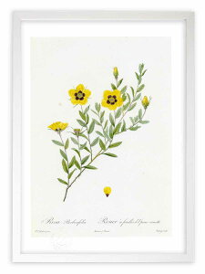 ŉ G TExxtHA hD[e {^jJ KN o CeA z z i G |X^[ A[g A[gpl rO  v[g _ A[gt[