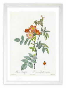 ŉ G TEutHA hD[e {^jJ KN o CeA z z i G |X^[ A[g A[gpl rO  v[g _ A[gt[ 