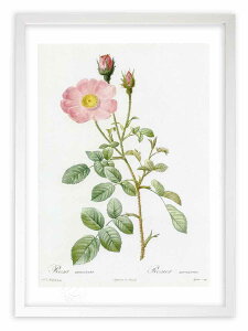 ŉ G TEXR[T hD[e {^jJ KN o CeA z z i G |X^[ A[g A[gpl rO  v[g _ A[gt[  