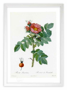 �ŉ� �G�� ���T�E�J���`���e�B�J ���h�D�[�e �{�^�j�J�� �K�N �o�� �C���e���A �z���� �z���� ���i�� ���G �|�X�^�[ �A�[�g �A�[�g�p�l�� ���r���O ���� �v���[���g ���_�� �A�[�g�t���[�� 