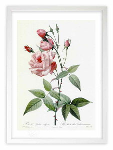 ŉ G TECfBJEEK[X hD[e {^jJ KN o CeA z z i G |X^[ A[g A[gpl rO  v[g _ A[g