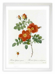 ŉ G TEGOeA hD[e {^jJ KN o CeA z z i G |X^[ A[g A[gpl rO  v[g _ A[gt[ 