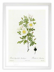 ŉ G TEssltHAE}AGuQVX hD[e {^jJ KN o CeA z z i G |X^[ A[g A[gpl rO  v[