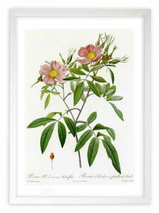 ŉ G TEnh\jA[iETLtHA hD[e {^jJ KN o CeA z z i G |X^[ A[g A[gpl rO  v[g _ 