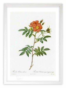 ŉ G TEhD[eAExXPX hD[e {^jJ KN o CeA z z i G |X^[ A[g A[gpl rO  v[g _ A[