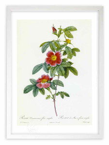 ŉ G TELiAEt[EVvL hD[e {^jJ KN o CeA z z i G |X^[ A[g A[gpl rO  v[g 