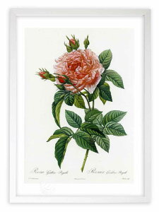 ŉ G TEKJEKX hD[e {^jJ KN o CeA z z i G |X^[ A[g A[gpl rO  v[g _ A[gt[