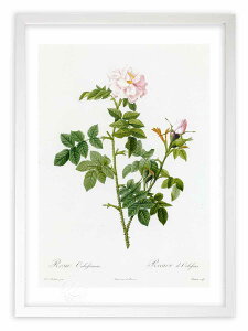 �ŉ� �G�� ���T�E�I���x�b�T�l�A ���h�D�[�e �{�^�j�J�� �K�N �o�� �C���e���A �z���� �z���� ���i�� ���G �|�X�^�[ �A�[�g �A�[�g�p�l�� ���r���O ���� �v���[���g ���_�� �A�[�g�t���[�� 