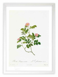 �ŉ� �G�� ���T�E���r�M�m�[�T�E�l�����[���X ���h�D�[�e �{�^�j�J�� �K�N �o�� �C���e���A �z���� �z���� ���i�� ���G �|�X�^�[ �A�[�g �A�[�g�p�l�� ���r���O ���� �v���[���g ���_�� �A�[