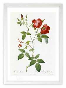 ŉ G TECfBJ hD[e {^jJ KN o CeA z z i G |X^[ A[g A[gpl rO  v[g _ A[gt[  