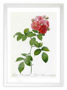 ŉ G TEeBt[EveBtB hD[e {^jJ KN o CeA z z i G |X^[ A[g A[gpl rO  v[g _