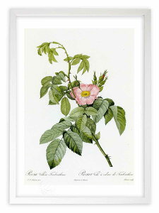 ŉ G TEEB[TEexeBi hD[e {^jJ KN o CeA z z i G |X^[ A[g A[gpl rO  v[g _ A[