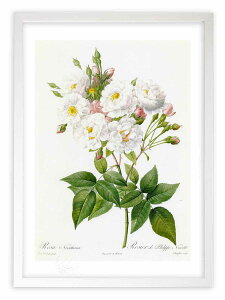 ŉ G TEm[beBA[i hD[e {^jJ KN o CeA z z i G |X^[ A[g A[gpl rO  v[g _ A[gt[