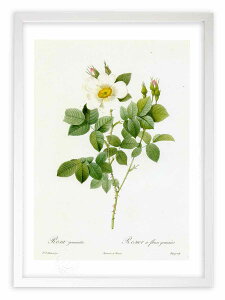 ŉ G TEQ~i[^ hD[e {^jJ KN o CeA z z i G |X^[ A[g A[gpl rO  v[g _ A[gt[  