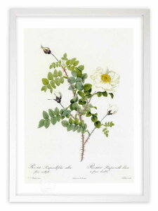 �ŉ� �G�� ���T�E�s���s�l���t�H���A�E�A���o�E�t���[���E�����e�B�v���L ���h�D�[�e �{�^�j�J�� �K�N �o�� �C���e���A �z���� �z���� ���i�� ���G �|�X�^�[ �A�[�g �A�[�g�p�l�� ���r���O 