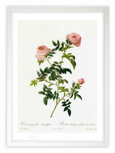 ŉ G TEZsEEt[EXueBvL hD[e {^jJ KN o CeA z z i G |X^[ A[g A[gpl rO  v[