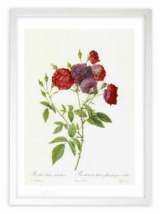 薔薇 絵画の通販 価格比較 価格 Com