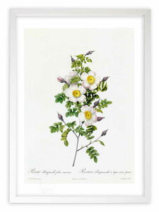 ŉ G TEssltHAECl~X hD[e {^jJ KN o CeA z z i G |X^[ A[g A[gpl rO  v[g _ 