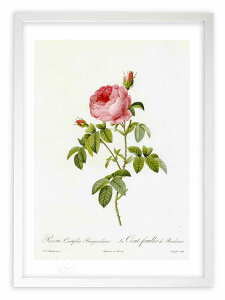 ŉ G TEPeBtHAEuOfBAJ hD[e {^jJ KN o CeA z z i G |X^[ A[g A[gpl rO  v[g 