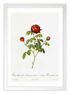 ŉ G TEKJEAK^ hD[e {^jJ KN o CeA z z i G |X^[ A[g A[gpl rO  v[g _ A[gt[ 