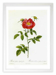 �ŉ� �G�� ���T�E�K���J�E�X�^�y���A�G�E�t���[�� ���h�D�[�e �{�^�j�J�� �K�N �o�� �C���e���A �z���� �z���� ���i�� ���G �|�X�^�[ �A�[�g �A�[�g�p�l�� ���r���O ���� �v���[���g ���_�� 