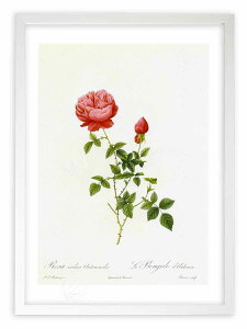 ŉ G TECfBJEAEgiX hD[e {^jJ KN o CeA z z i G |X^[ A[g A[gpl rO  v[g _ A[