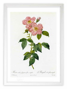 �ŉ� �G�� ���T�E�C���f�B�J�E�t���O�����X�E�t���[���E�V���v���L ���h�D�[�e �{�^�j�J�� �K�N �o�� �C���e���A �z���� �z���� ���i�� ���G �|�X�^�[ �A�[�g �A�[�g�p�l�� ���r���O ���� 