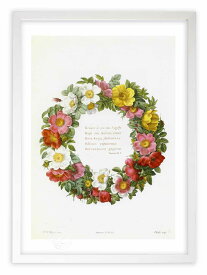 版画 絵画 フラワーリース ルドゥーテ ボタニカル 薔薇 バラ インテリア 額入り 額装込 風景画 油絵 ポスター アート アートパネル リビング 玄関 プレゼント モダン アートフレーム 飾る おしゃれ 壁掛け 絵